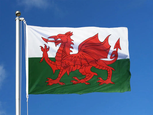 Merched Beca Cymru Red Dragon Flag – Welsh Pride Banner